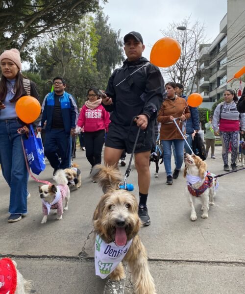 Gran Caminata Huellas 4K: convocan a los amantes de las mascotas al evento solidario por el Día del Perro