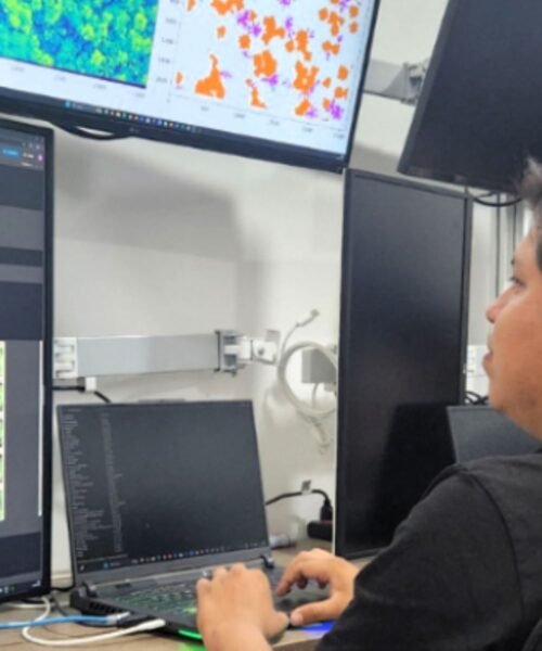 Inteligencia artificial (IA) al rescate de la Amazonía